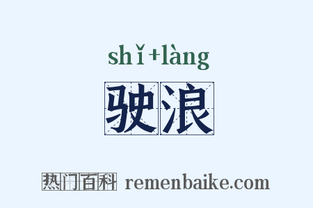 驶浪是什么意思的图片